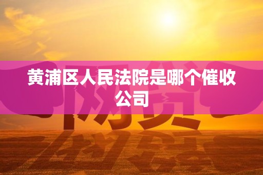黄浦区人民法院是哪个催收公司