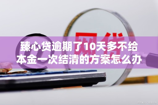 臻心贷逾期了10天多不给本金一次结清的方案怎么办