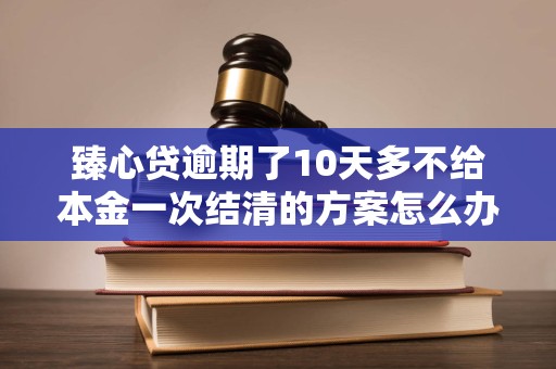 臻心贷逾期了10天多不给本金一次结清的方案怎么办