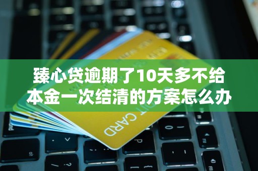 臻心贷逾期了10天多不给本金一次结清的方案怎么办