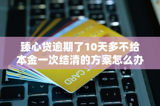 臻心贷逾期了10天多不给本金一次结清的方案怎么办