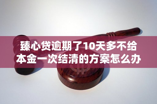 臻心贷逾期了10天多不给本金一次结清的方案怎么办
