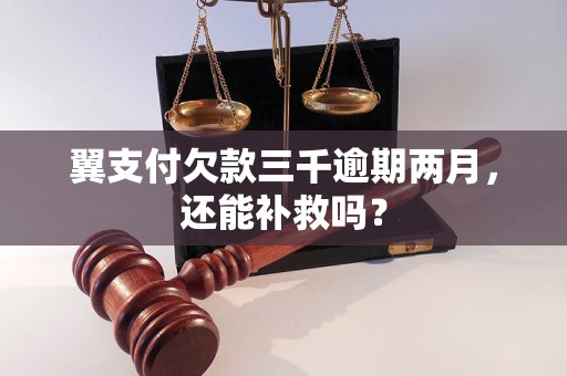 翼支付欠款三千逾期两月，还能补救吗？