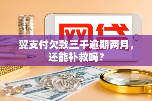 翼支付欠款三千逾期两月,还能补救吗?