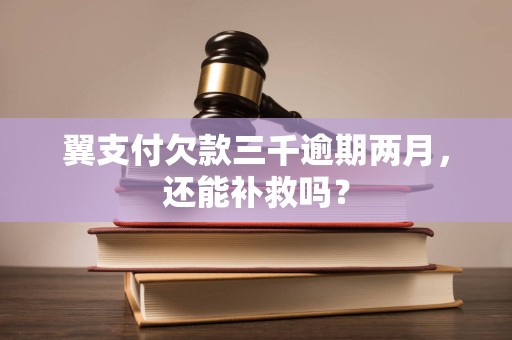 翼支付欠款三千逾期两月,还能补救吗?
