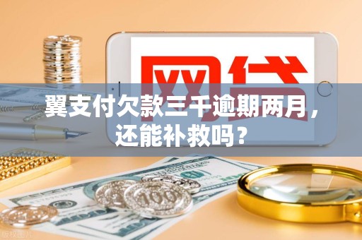 翼支付欠款三千逾期两月,还能补救吗?