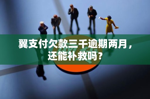 翼支付欠款三千逾期两月,还能补救吗?