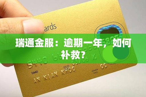 瑞通金服：逾期一年，如何补救？