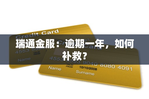 瑞通金服:逾期一年,如何补救?
