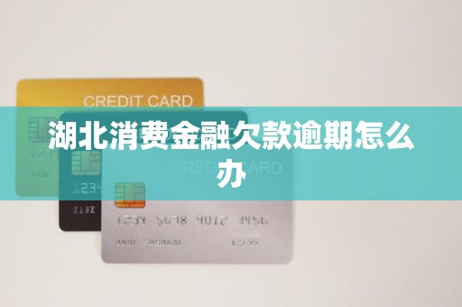 湖北消费金融欠款逾期怎么办