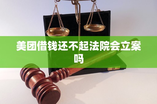 美团借钱还不起法院会立案吗