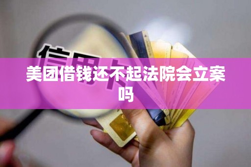 美团借钱还不起法院会立案吗