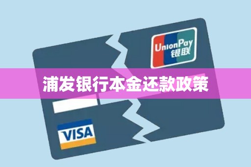 浦发银行本金还款政策