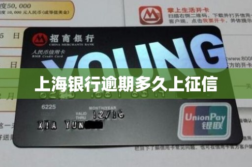 上海银行逾期多久上征信