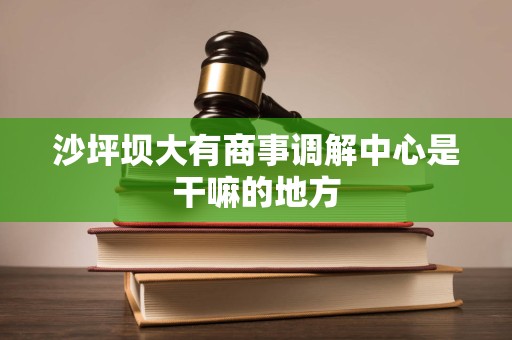 沙坪坝大有商事调解中心是干嘛的地方