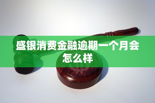 盛银消费金融逾期一个月会怎么样