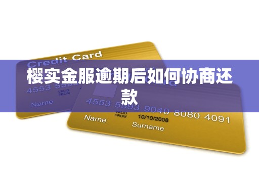 樱实金服逾期后如何协商还款