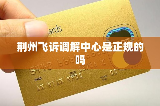 荆州飞诉调解中心是正规的吗