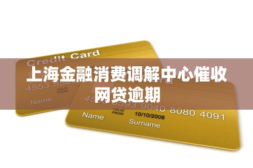 上海金融消费调解中心催收网贷逾期