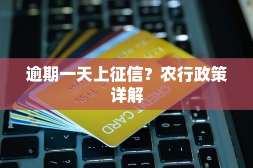 逾期一天上征信？农行政策详解