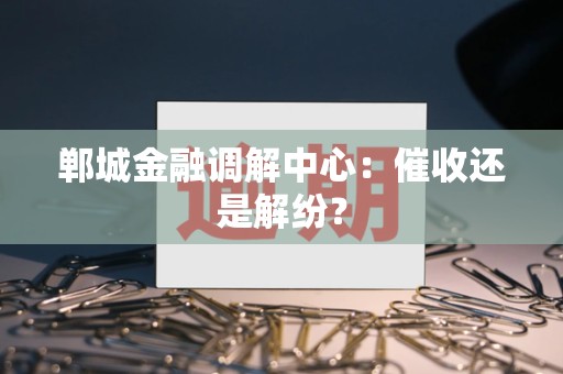 郸城金融调解中心：催收还是解纷？