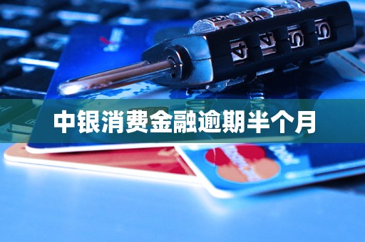中银消费金融逾期半个月