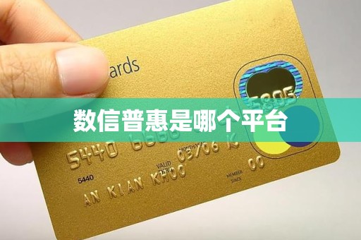 数信普惠是哪个平台