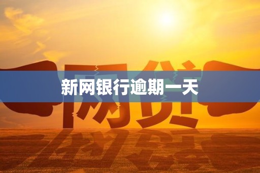 新网银行逾期一天