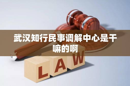 武汉知行民事调解中心是干嘛的啊