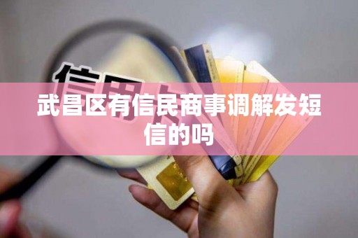 武昌区有信民商事调解发短信的吗