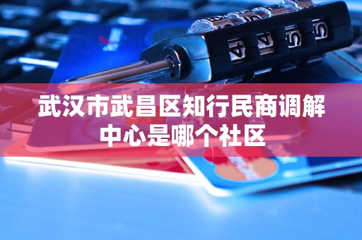 武汉市武昌区知行民商调解中心是哪个社区