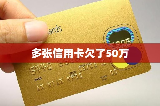 多张信用卡欠了50万
