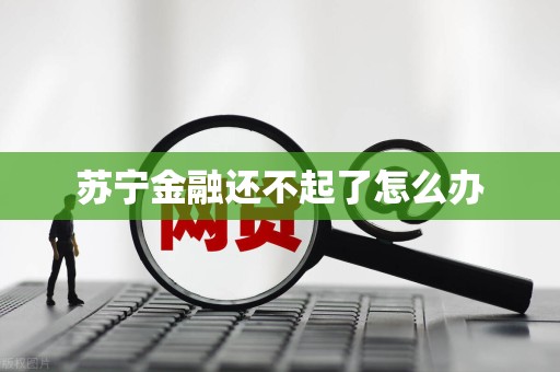 苏宁金融还不起了怎么办