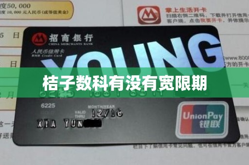 桔子数科有没有宽限期