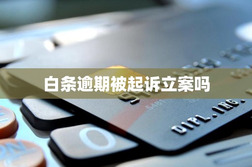 白条逾期被起诉立案吗