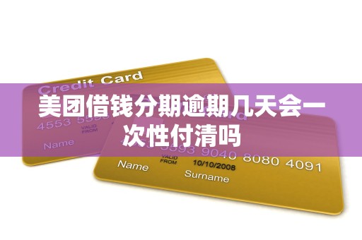 美团借钱分期逾期几天会一次性付清吗