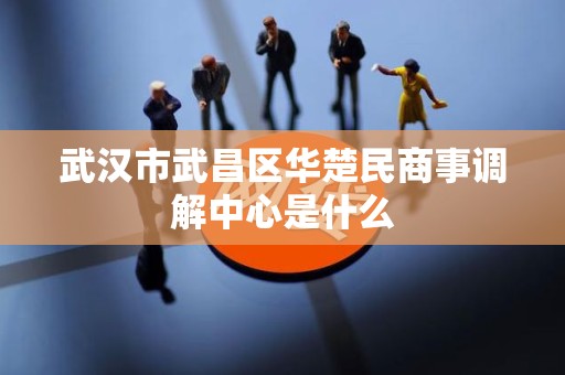 武汉市武昌区华楚民商事调解中心是什么