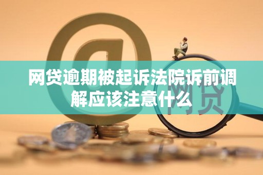 网贷逾期被起诉法院诉前调解应该注意什么