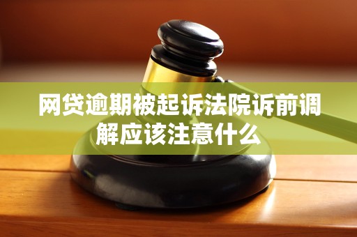 网贷逾期被起诉法院诉前调解应该注意什么