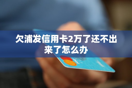 欠浦发信用卡2万了还不出来了怎么办