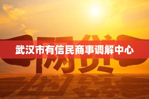 武汉市有信民商事调解中心