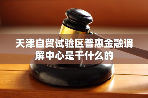 天津自贸试验区普惠金融调解中心是干什么的