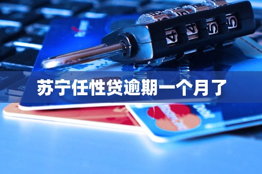 苏宁任性贷逾期一个月了