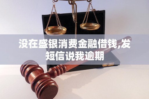 没在盛银消费金融借钱,发短信说我逾期