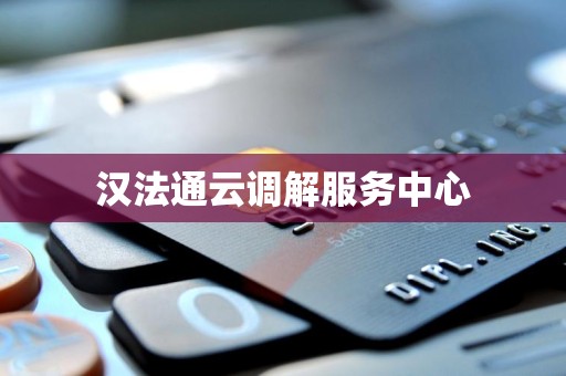 汉法通云调解服务中心