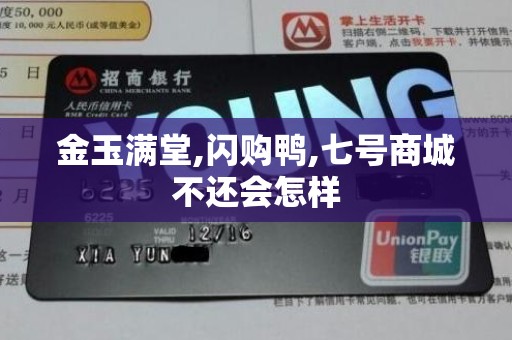 金玉满堂,闪购鸭,七号商城不还会怎样