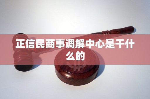 正信民商事调解中心是干什么的