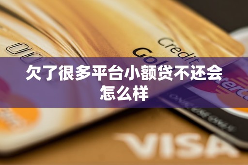 欠了很多平台小额贷不还会怎么样