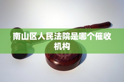 南山区人民法院是哪个催收机构