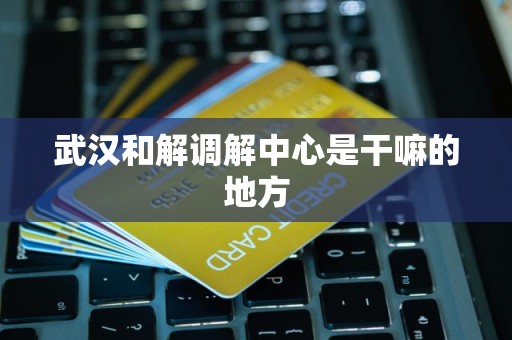 武汉和解调解中心是干嘛的地方